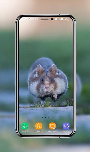 Cute Hamster Wallpaper screenshot 2