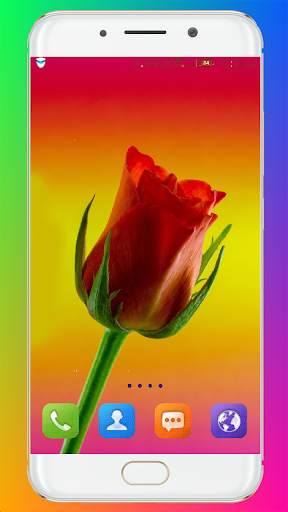 Red Rose Wallpaper screenshot 6