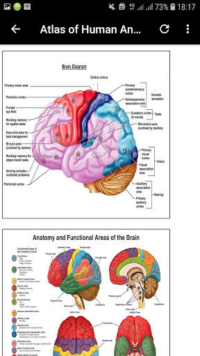 Atlas of Human Anatomy Offline screenshot 7