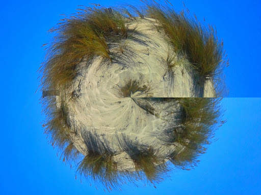 Tiny world and toon camera screenshot 23