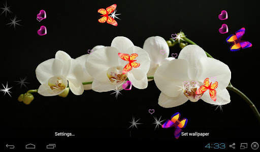 Orchid Live Wallpaper - Screen Lock, Sensor, Auto screenshot 8