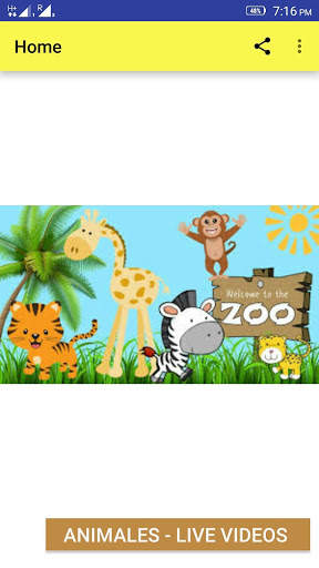 ZOO ANIMALS LIVE VIDEOS screenshot 1