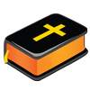 NIV Audio Bible 10