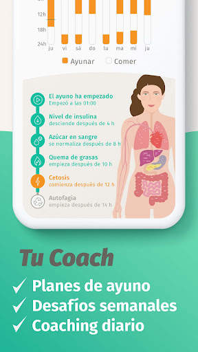 BodyFast: Ayuno Intermitente screenshot 4