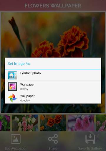 Flowers Wallpaper screenshot 12