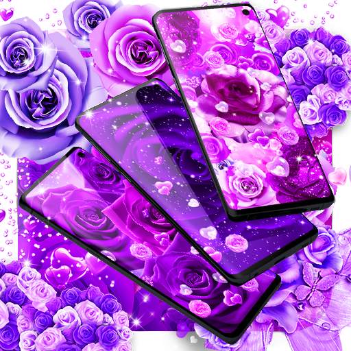 Purple rose live wallpaper 25.0