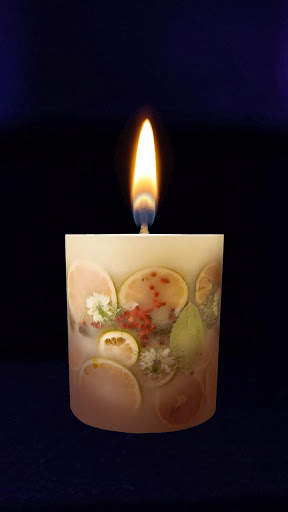 Lilin Simulator screenshot 2