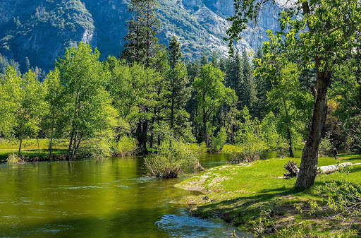 Spring Wallpaper HD : backgrounds & themes screenshot 14