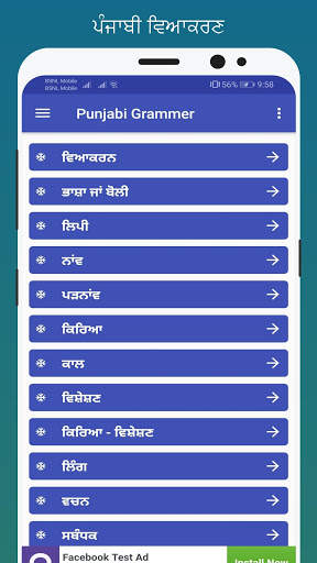 Punjabi Grammer (Punjabi Vyakaran) screenshot 2