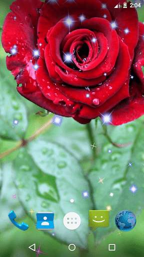 Rose Live Wallpaper screenshot 1