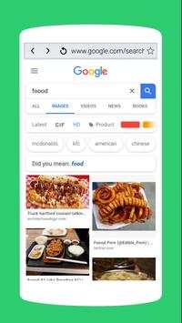 A Web Browser screenshot 4