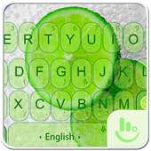 TouchPal Lime Keyboard Theme on 9Apps