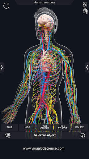 Human Anatomy screenshot 8