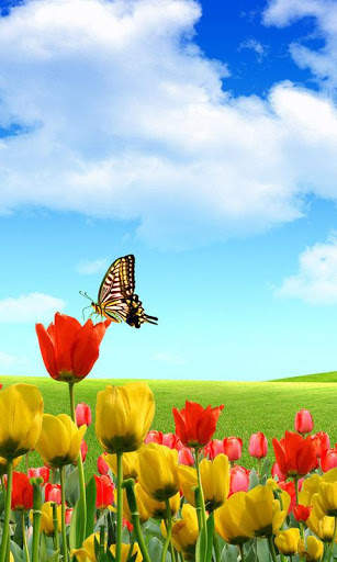 HD Landscape Live Wallpaper screenshot 9