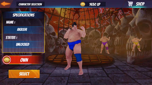 Sumo Wrestling Fight Arena screenshot 5