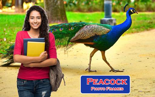 Peacock Photo Frames screenshot 2