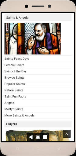 Catholic Daily Guide screenshot 4