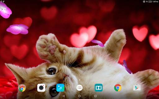 Animals Cute Live Wallpaper screenshot 8