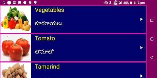 Learn English From Telugu screenshot 12