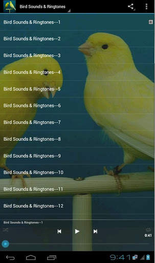 Canary Bird Sounds & Ringtones स्क्रीनशॉट 2