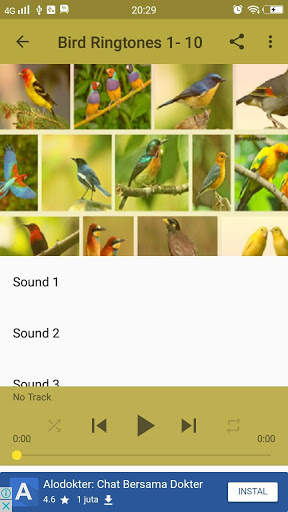 Top Bird Ringtones screenshot 3