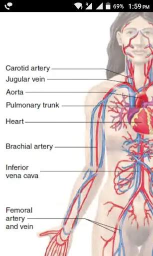 MBBS Study App screenshot 6