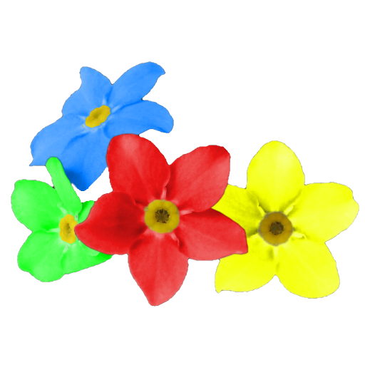 Forget me not icon