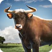 Bull Simulator 3D 1.4