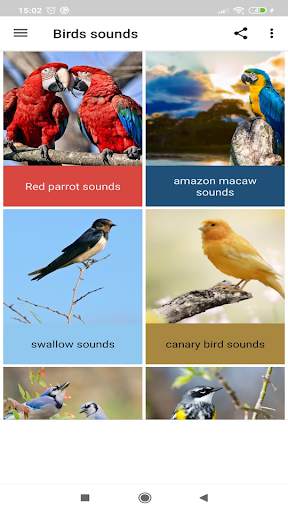 Birds sounds screenshot 3