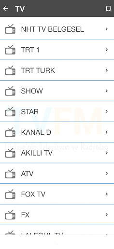 TV - FM (canlı tv izle) screenshot 2