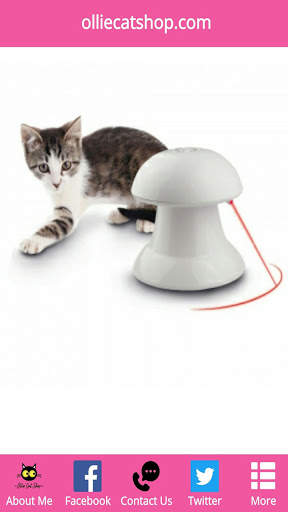 Cat Shop screenshot 3