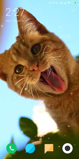 Cat Live Wallpaper screenshot 6