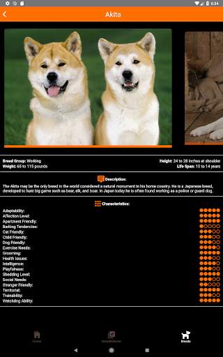 Dogipedia - Dog breed selector and list of breeds screenshot 14