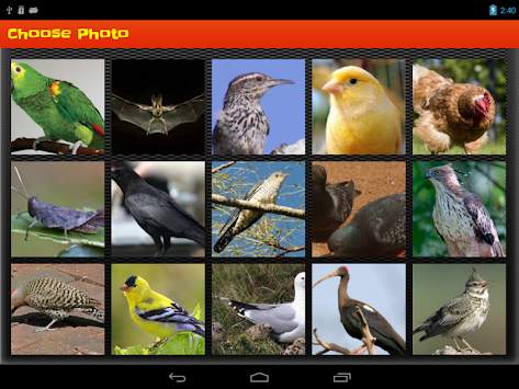 Puzzle Game: Bird Puzzle screenshot 11