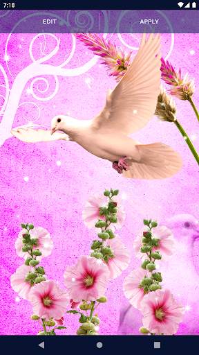 Dove Romantic Live Wallpaper screenshot 6