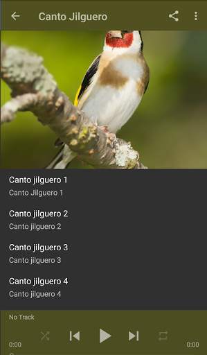 Goldfinch educate скриншот 3