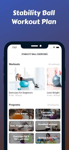 Latihan Beban Dengan Bola Stabilitas screenshot 2