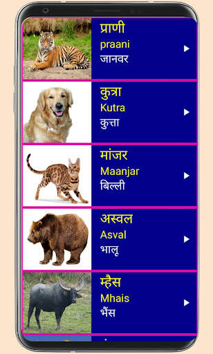 Learn Marathi From Hindi 5 تصوير الشاشة