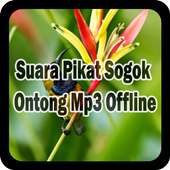 Suara Pikat Sogok Ontong Mp3 Offline on 9Apps