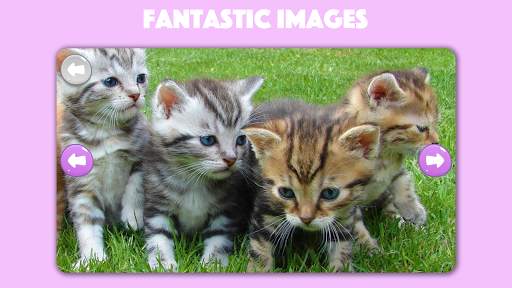 Dogs & Cats Puzzles for kids & toddlers 2 🐱🐩 screenshot 1