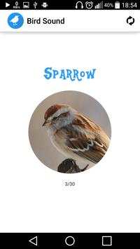 Bird Sounds screenshot 3