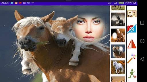 Horse Photo Frames screenshot 5