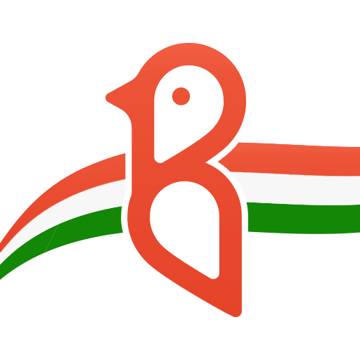 Bulbul - Online Video Shopping App | Made In India icon