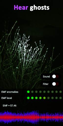 EMF Ghost Detector and Camera screenshot 2