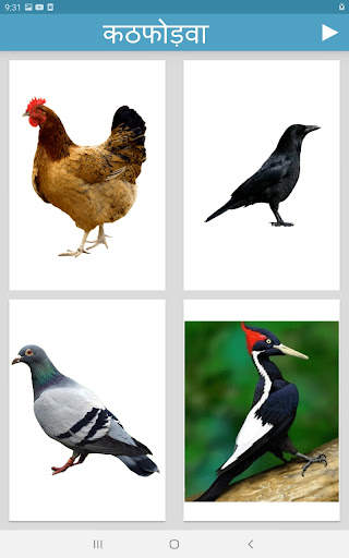 Learn Animals and Birds in Hin screenshot 22