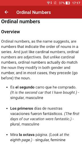 Spanish Grammar Offline screenshot 4