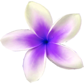 ikon Flowers live wallpaper