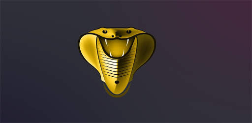 Cobra player screenshot 2