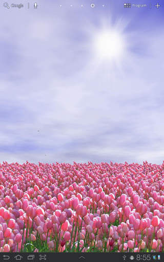 Tulip Field Free LWP screenshot 1