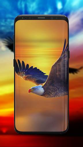 Eagle Wallpaper screenshot 5